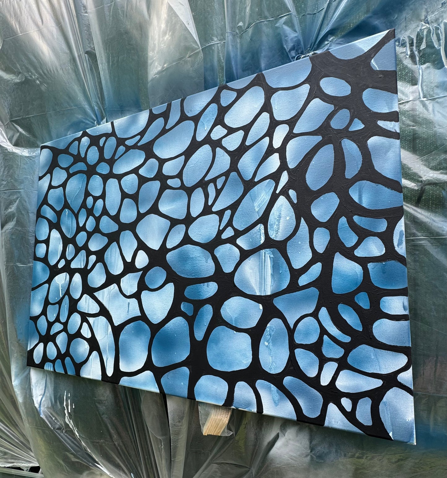 " Blue Butterflyskin"